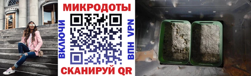купить закладку  Волоколамск  Галлюциногенные грибы MAGIC MUSHROOMS 